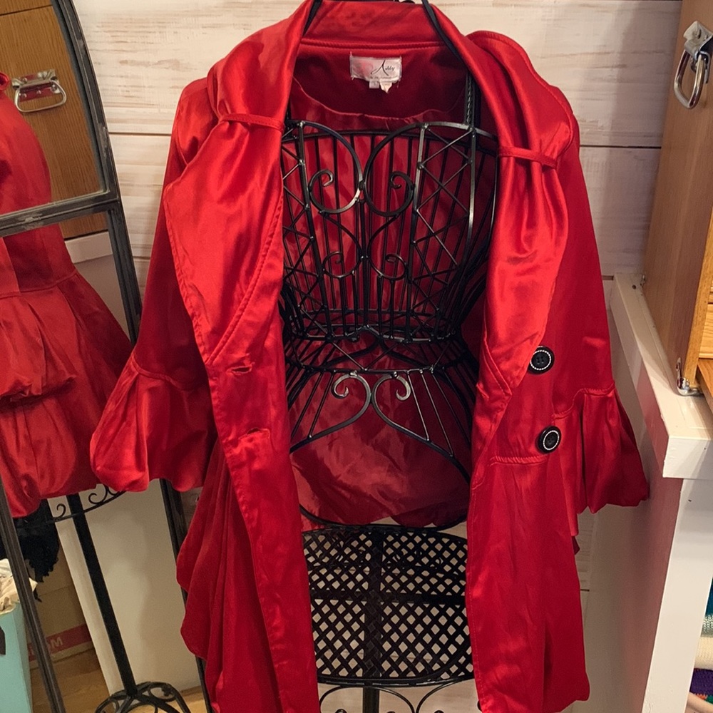 Beautiful Statement Jacket - image 5